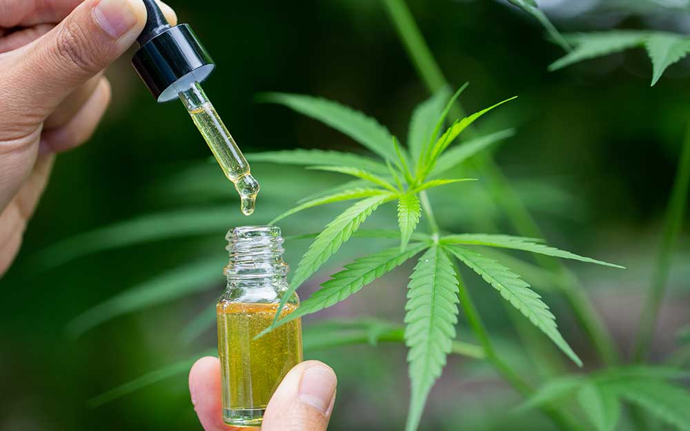 The Crucial Role of CBD Extraction Methods in Choosing the Right CBD Product